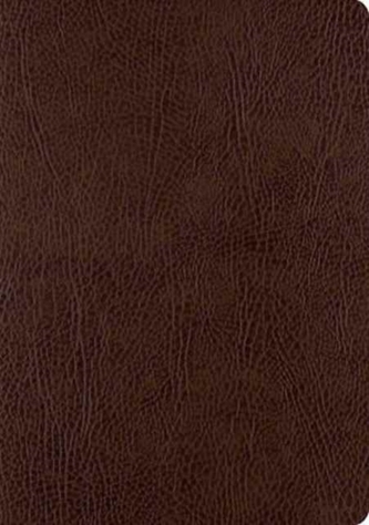 ESV Single Column Journaling Bible, Large Print ESV Single Column Journaling Bible, Large Print
