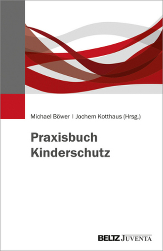 Praxisbuch Kinderschutz