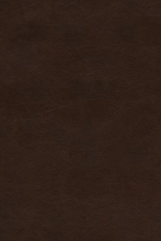 ESV Bible with Creeds and Confessions