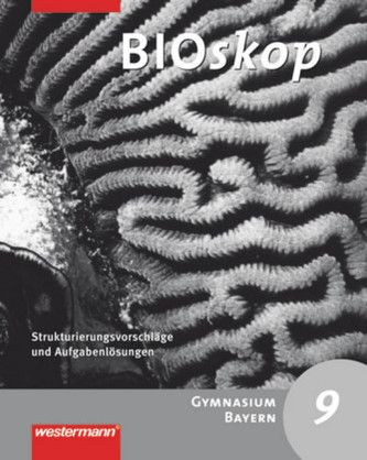 9. Jahrgangsstufe, Strukturierungsvorschläge und Lösungen