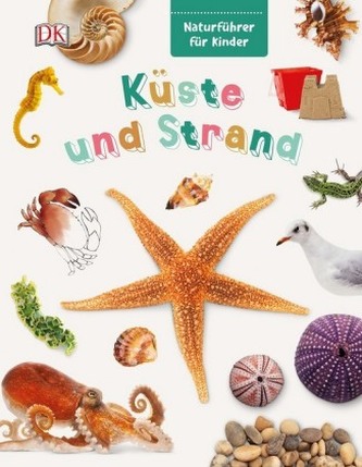 Küste und Strand