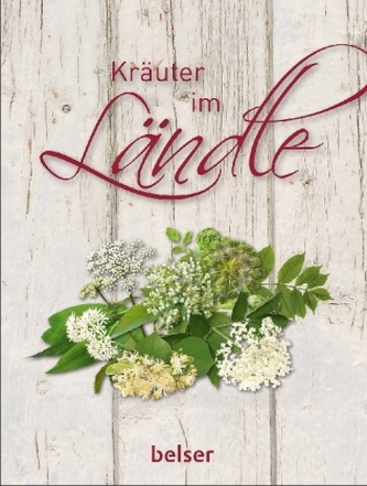 Kräuter im Ländle Kräuter im Ländle