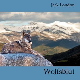 Wolfsblut, MP3-CD