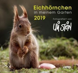 Eichhörnchen in meinem Garten 2019