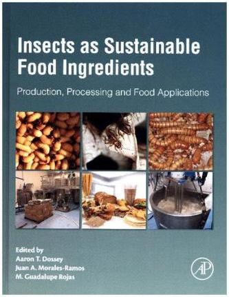 Insects as Sustainable Food Ingredients