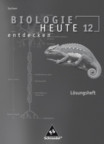 12. Schuljahr, Arbeitsheft Lösungen