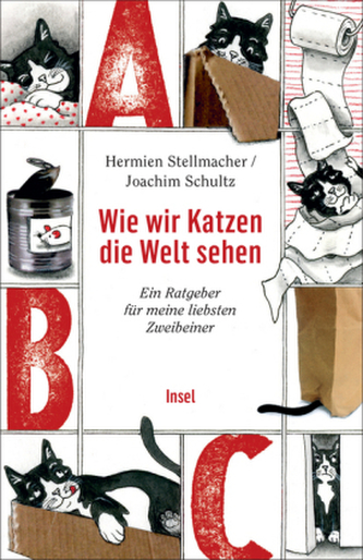 Wie wir Katzen die Welt sehen