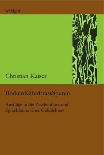 BorkenKäferFrassSpuren