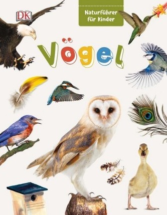 Vögel