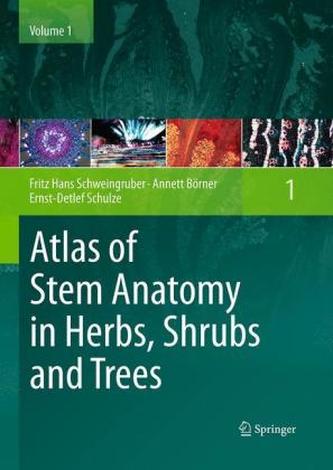 Atlas of Stem Anatomy in Herbs, Shrubs and Trees