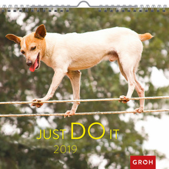 Just do it 2019