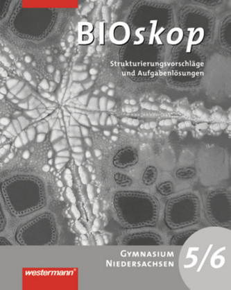 5./6. Jahrgangsstufe, Strukturierungsvorschläge und Lösungen 5./6. Jahrgangsstufe, Strukturierungsvorschläge und Lösungen
