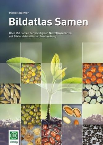 Bildatlas Samen Bildatlas Samen