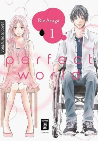 Perfect World. Bd.1 Perfect World. Bd.1