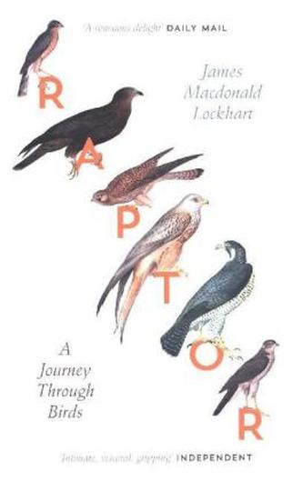 Raptor