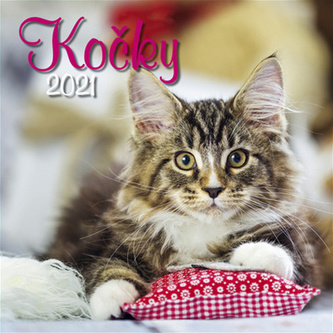 Kalendář 2021 - Kočky, nástěnný