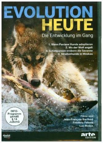 Evolution heute: Die Entwicklung im Gang, 1 DVD-Video