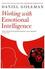 Working with Emotional Intelligence