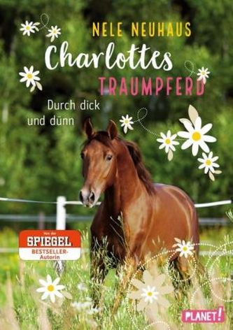 Charlottes Traumpferd: Durch dick und dünn