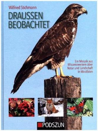 Draußen beobachtet Draußen beobachtet