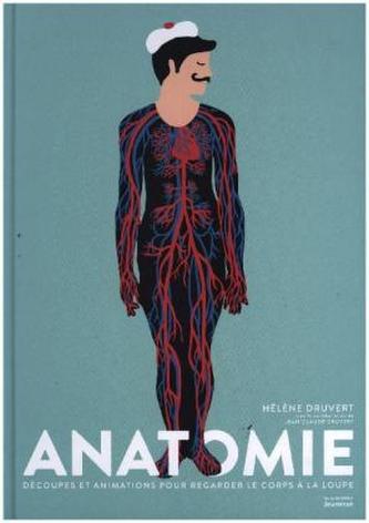 Anatomie