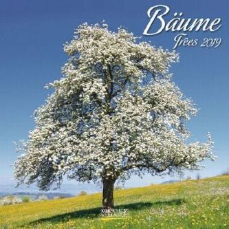 Bäume 2019