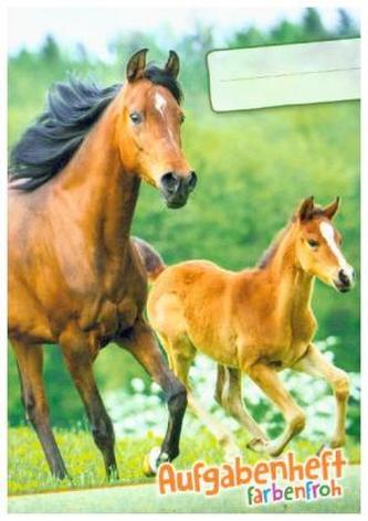 Lernfreunde Aufgabenheft Farbenfroh Mini A6 1 Schuljahr Motiv Pferd EH, Zusatz sortenrein