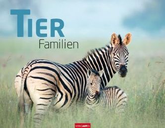 Tierfamilien 2019