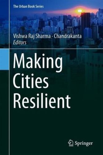 Making Cities Resilient