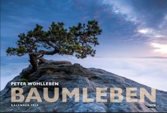 Baumleben 2019 Baumleben 2019