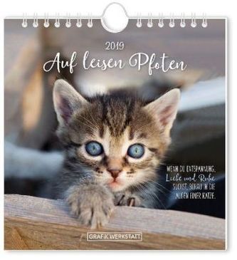 Auf leisen Pfoten 2019