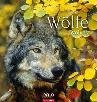 Wölfe 2019