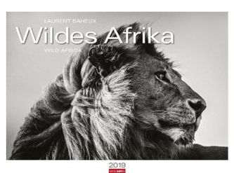 Wildes Afrika 2019 Wildes Afrika 2019