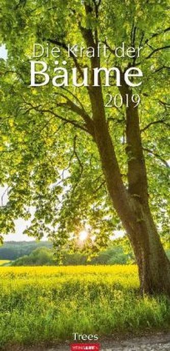 Die Kraft der Bäume 2019