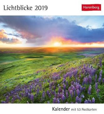 Lichtblicke 2019