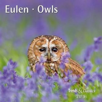 Eulen / Owls 2019 Eulen / Owls 2019