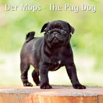 Der Mops / The Pug Dog 2019 Der Mops / The Pug Dog 2019
