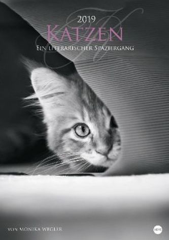 Katzen - Ein literarischer Spaziergang 2019 Katzen - Ein literarischer Spaziergang 2019