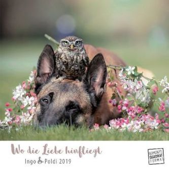 Wo die Liebe hinfliegt 2019 Wo die Liebe hinfliegt 2019
