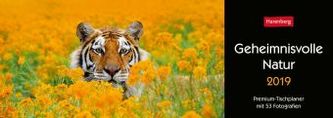 Geheimnisvolle Natur 2019