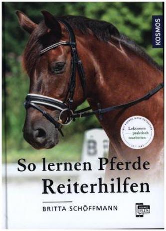 So lernen Pferde Reiterhilfen