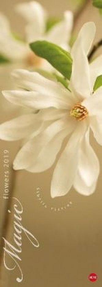 Magic Flowers Vertical 2019