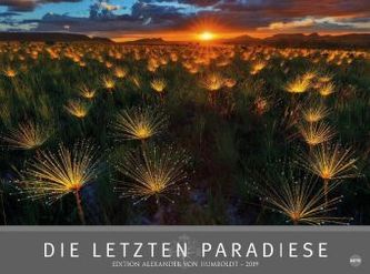 Die letzten Paradiese 2019