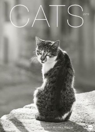 Wegler Cats Edition 2019