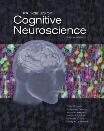 Principles of Cognitive Neuroscience Principles of Cognitive Neuroscience