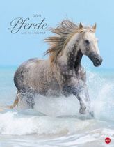 Pferde Classics 2019