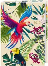 Tropical Birds Kalenderbuch A6 2019