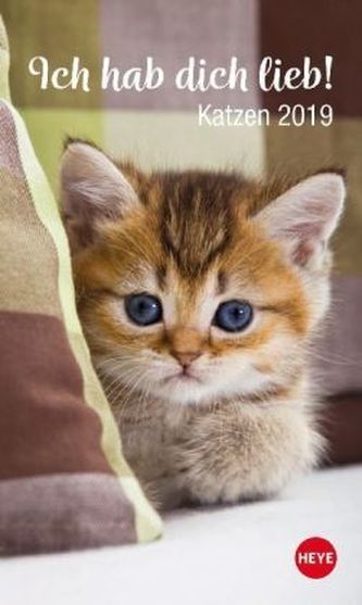 Katzen - Ich hab dich lieb 2019