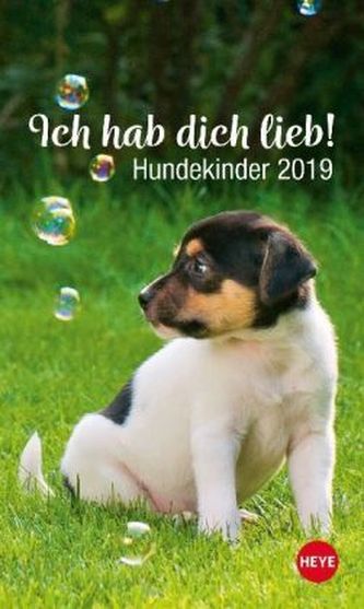 Ich hab dich lieb! Hundekinder 2019