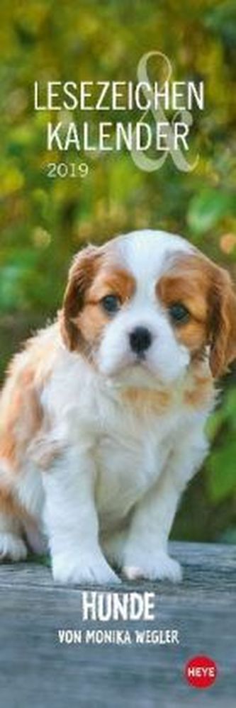 Hunde Lesezeichen & Kalender 2019